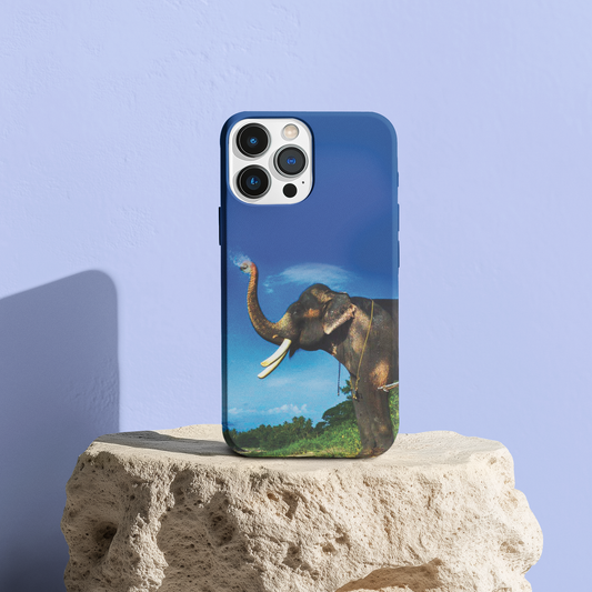 Anna Phone Case